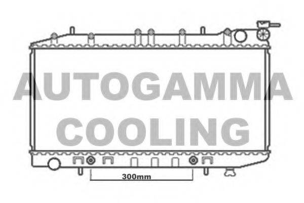 AUTOGAMMA 102212 Радіатор, охолодження двигуна