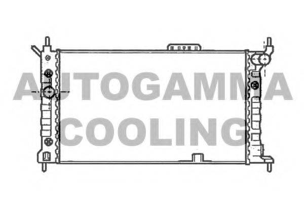 AUTOGAMMA 102217 Радіатор, охолодження двигуна