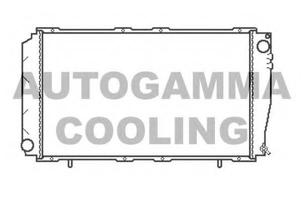 AUTOGAMMA 102310 Радіатор, охолодження двигуна