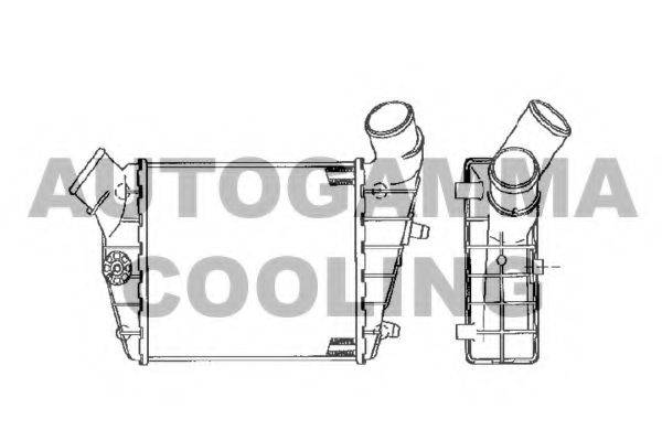 AUTOGAMMA 102391 Інтеркулер