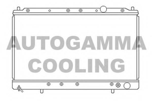 AUTOGAMMA 103162 Радіатор, охолодження двигуна