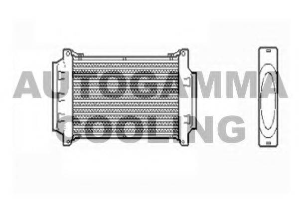 AUTOGAMMA 103203 Інтеркулер