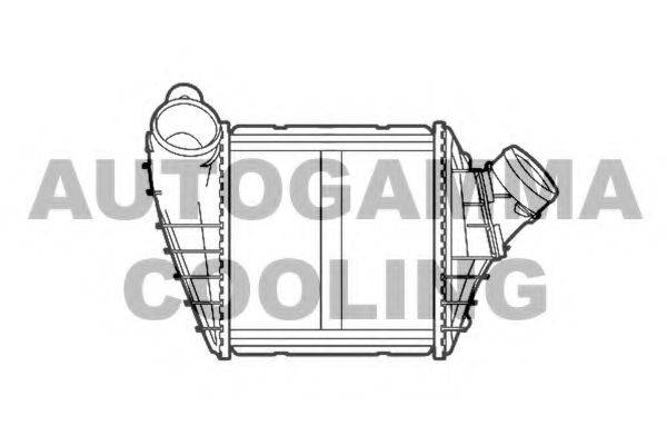 AUTOGAMMA 103213 Інтеркулер