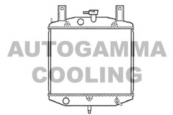 AUTOGAMMA 103405 Радіатор, охолодження двигуна