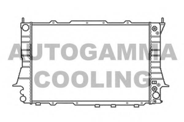 AUTOGAMMA 103879 Радіатор, охолодження двигуна