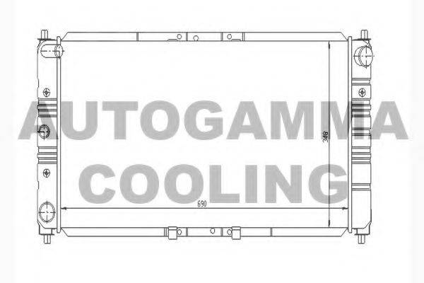 AUTOGAMMA 104321 Радіатор, охолодження двигуна