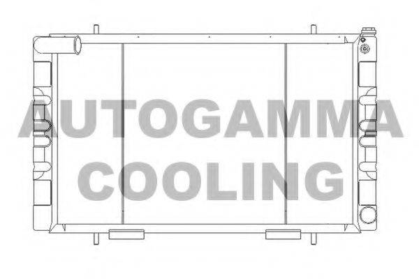 AUTOGAMMA 105566 Радіатор, охолодження двигуна
