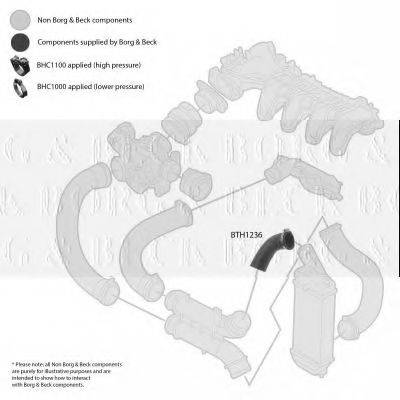 BORG & BECK BTH1236 Трубка повітря, що нагнітається