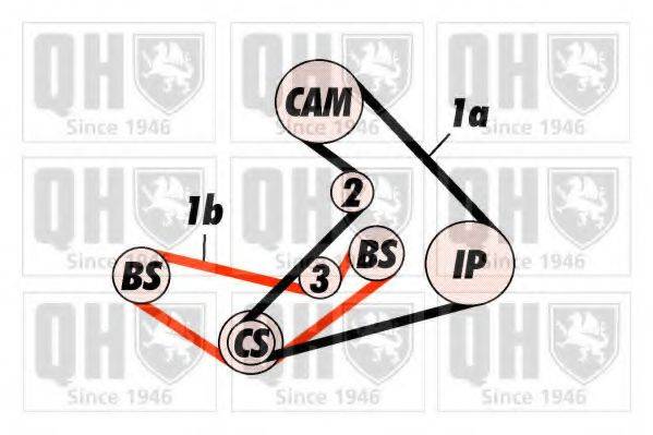 QUINTON HAZELL QBK415 Комплект ременя ГРМ