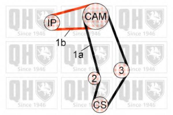 QUINTON HAZELL QBK581 Комплект ременя ГРМ