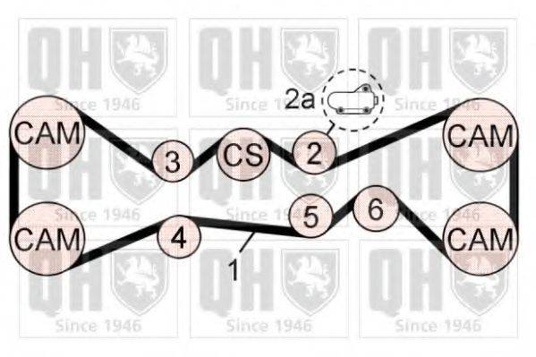 QUINTON HAZELL QBK770 Комплект ременя ГРМ