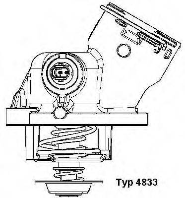 WAHLER 4833100D Термостат, охолоджуюча рідина